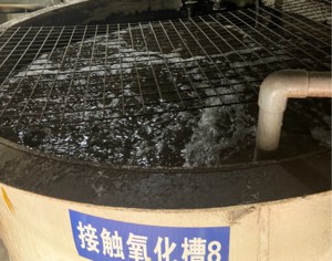 氧化處理